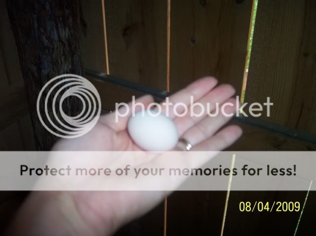 016-2.jpg