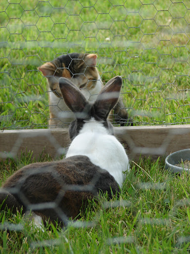DSC09582.JPG