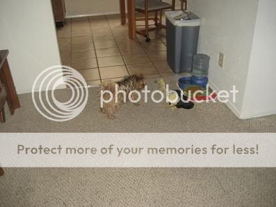IMG_2834.jpg