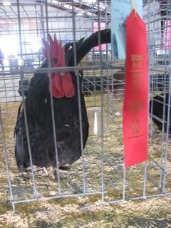 IMG_0962.jpg