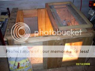 SDC10834.jpg