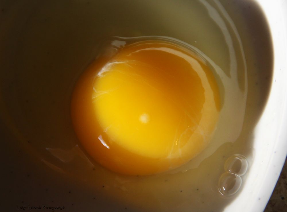 Infertile+Egg.jpg