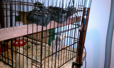 IMAG0535.jpg