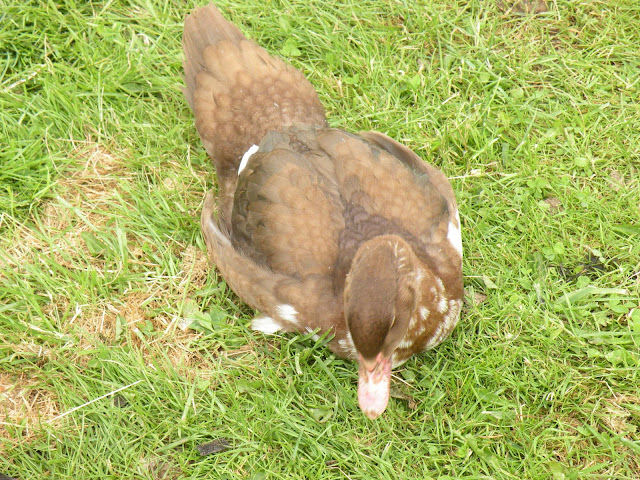 DSCN3628.JPG