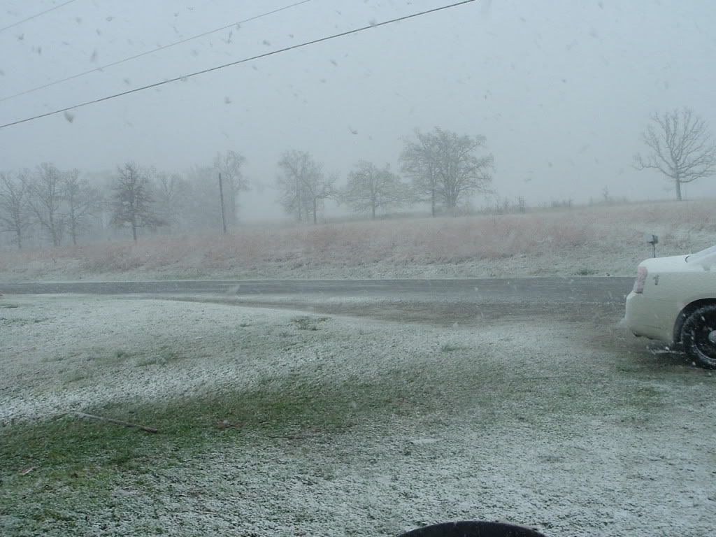 2009_0328Image0002.jpg