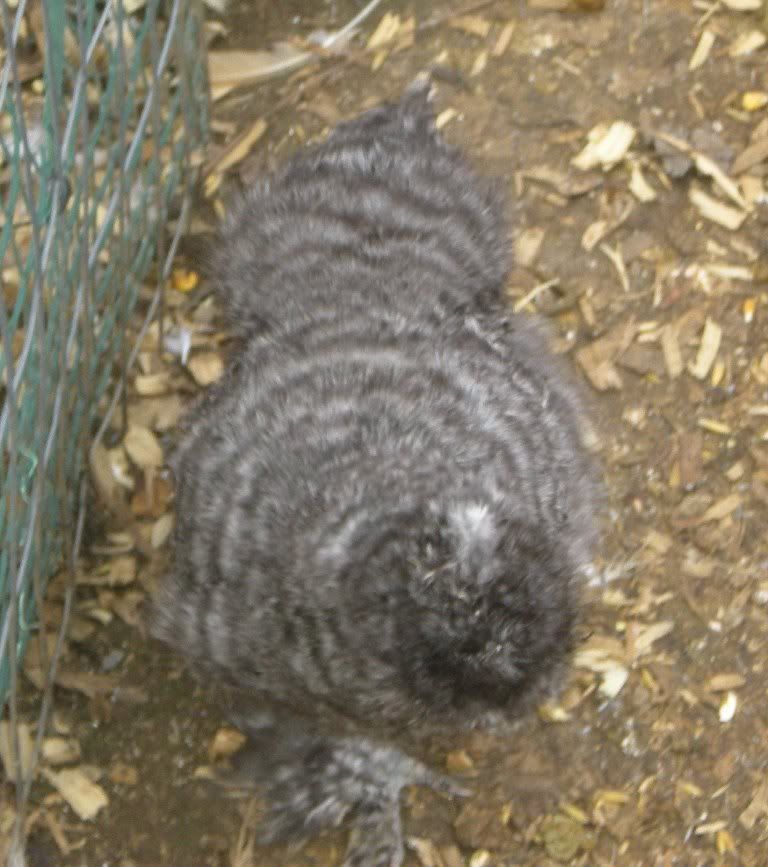 DSCN5841.jpg