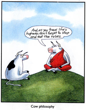 funny_cow_cartoon42.jpg