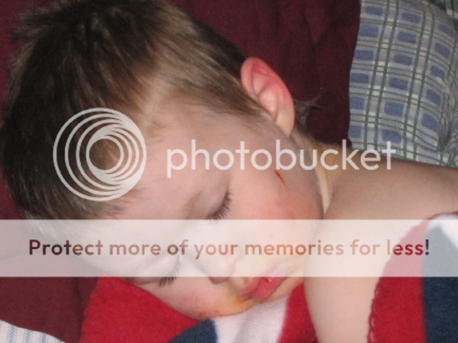 CopyofPicture138.jpg