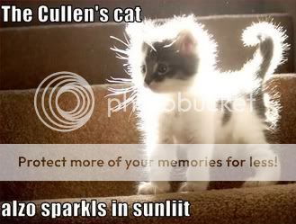 cullenscat.jpg