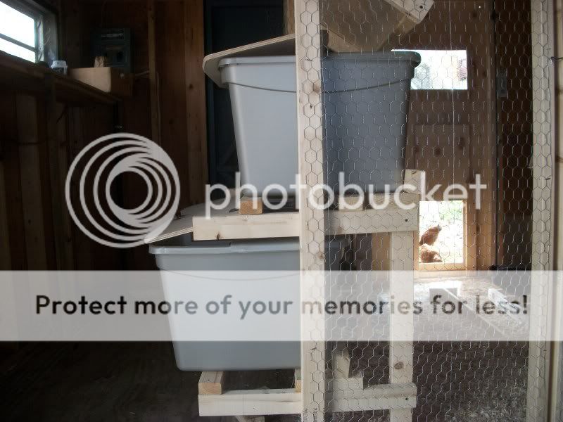 chickenshouse090.jpg