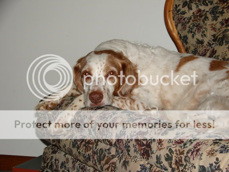 DSC00001.jpg