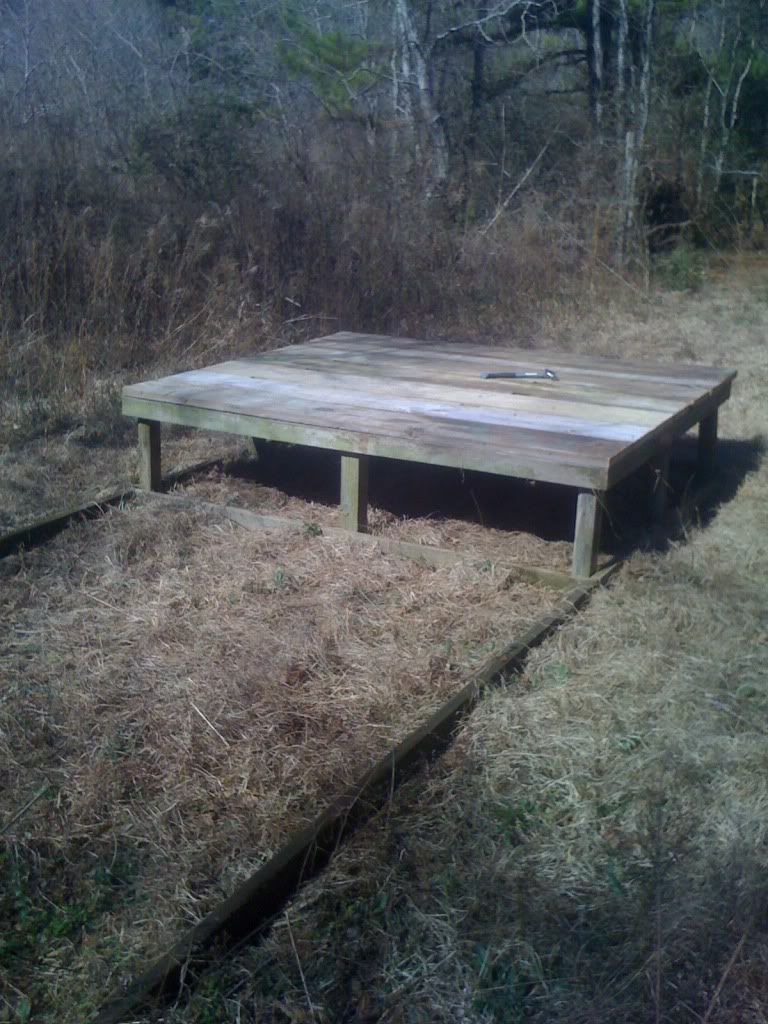 Picture351.jpg