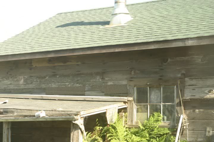 woodshed.jpg
