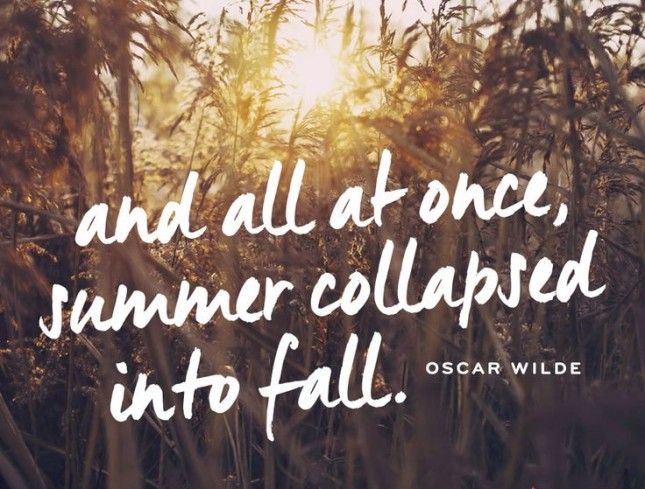 f33a217f3c6955931cfc3a000f13bebc--fall-quotes-falling-leaves.jpg