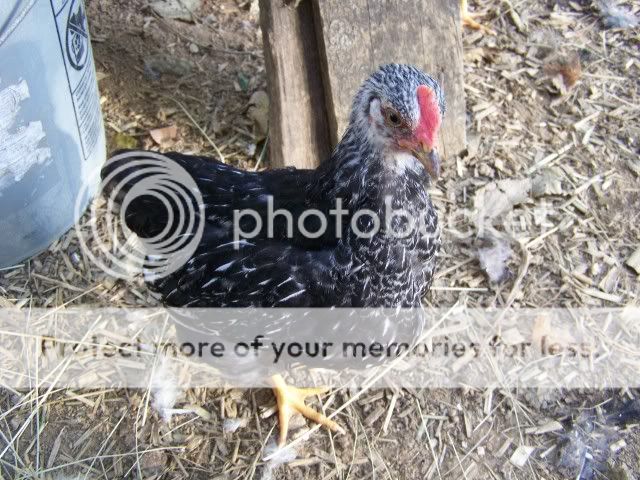 100_2391.jpg