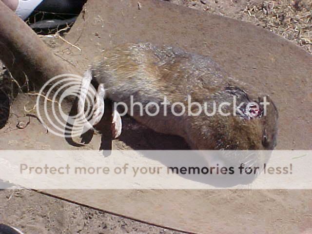 MVC-071S.jpg