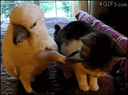 tumblr_me537jv0U31r1mtsdo1_250.gif