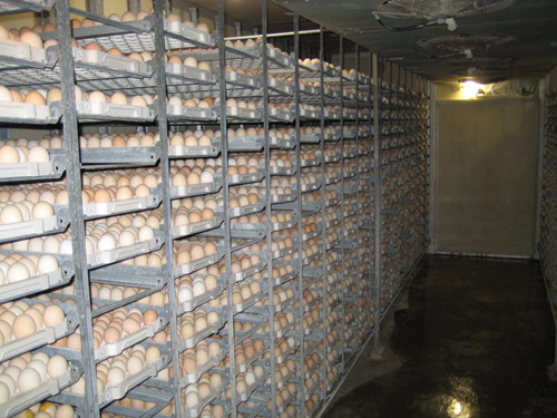 hatch_tour_2.jpg
