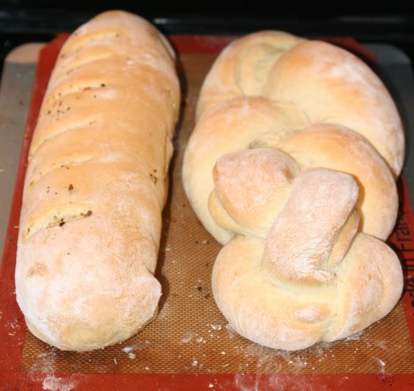 garlicbraid.jpg