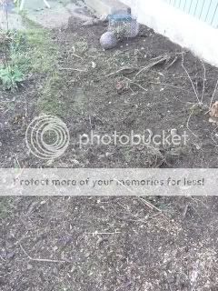 Pennyballafter.jpg
