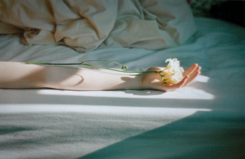 tumblr_m00se8NSJF1qhps5mo1_500.jpg