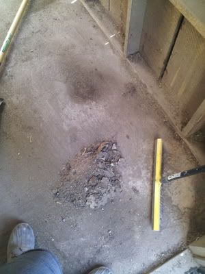 2011-07-16130251.jpg