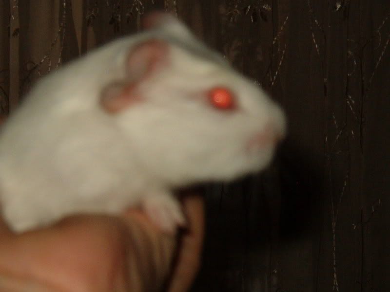 IM001872.jpg
