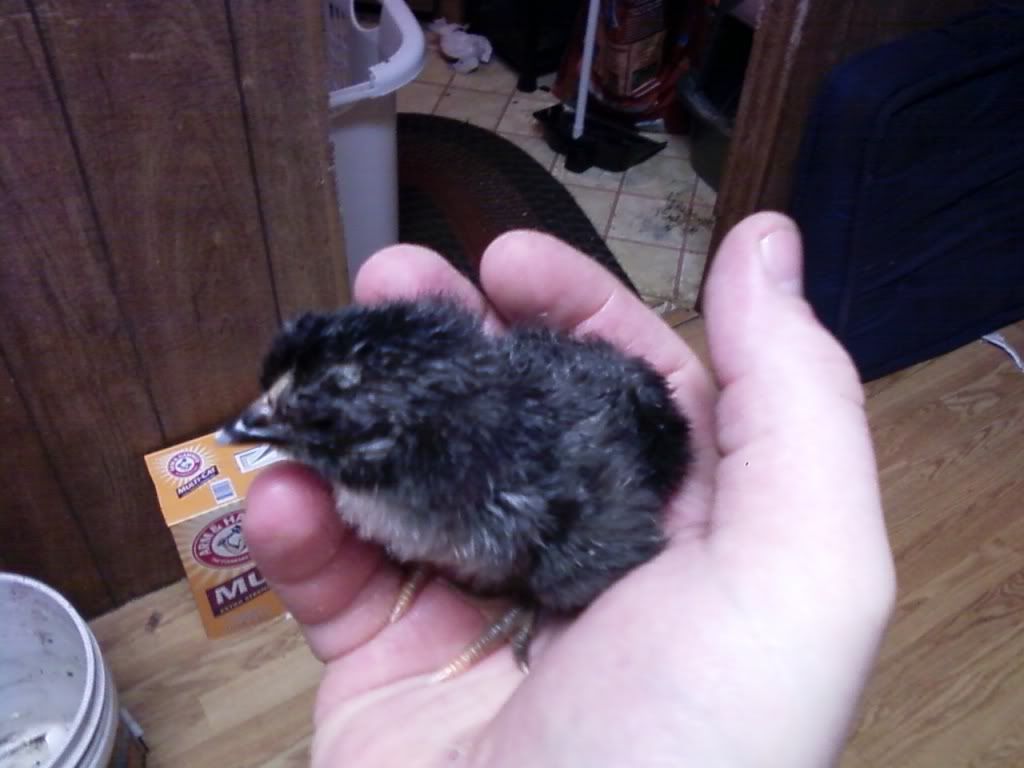 Photo474.jpg