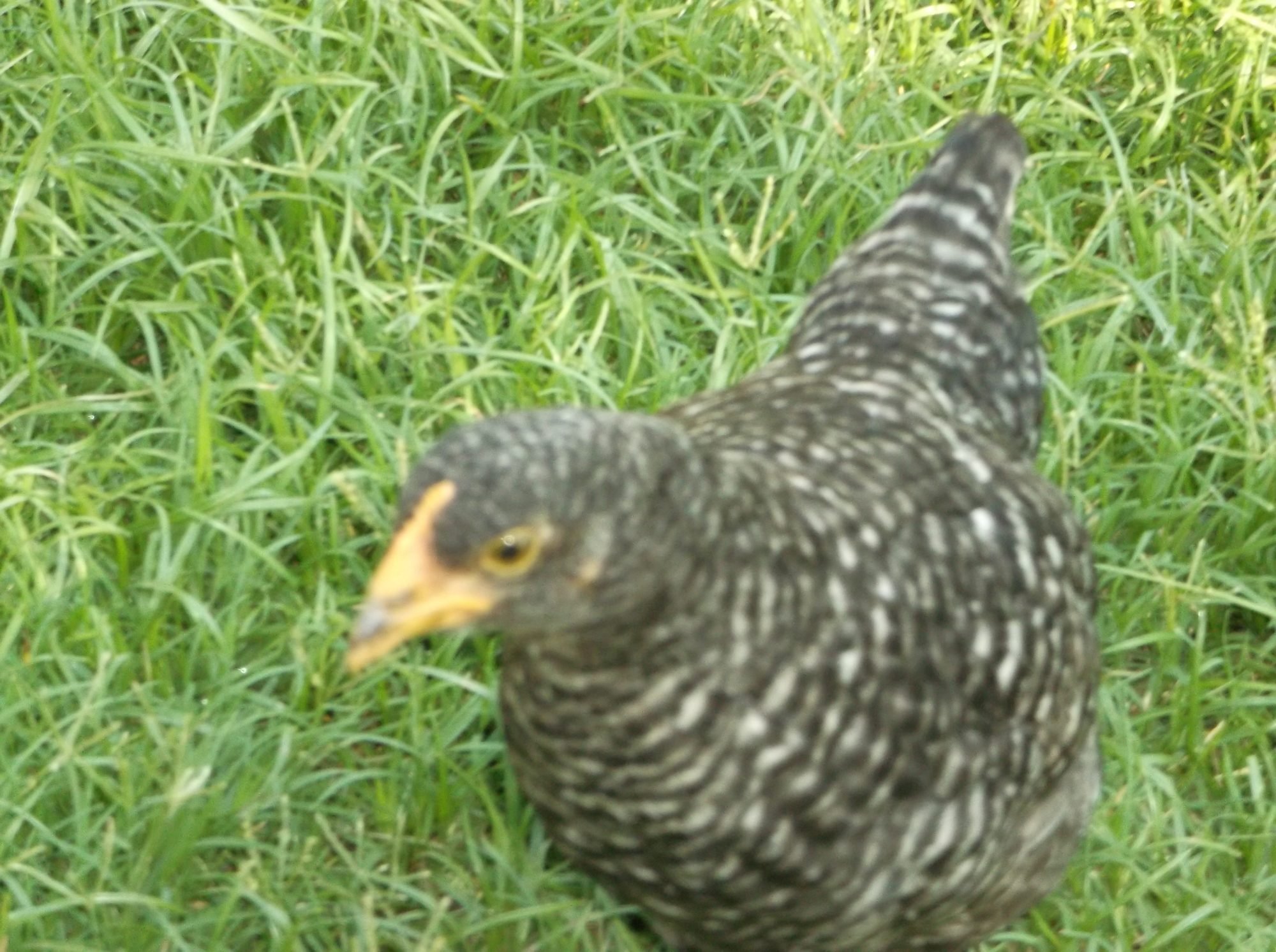 0a5641e8_laurenpics132.jpeg