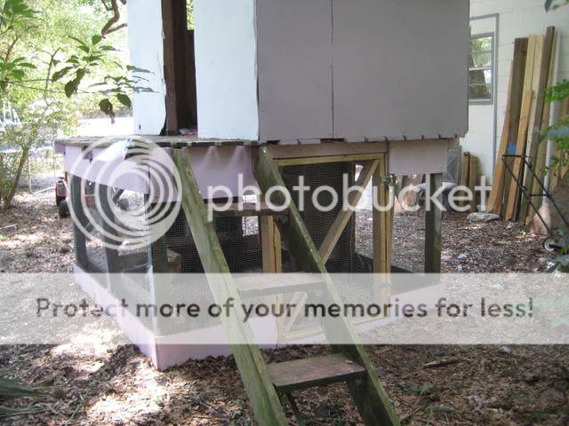 Picture553.jpg