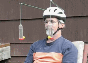 1259577512_Hummingbird_watch.gif