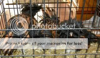 May172011039x2.jpg