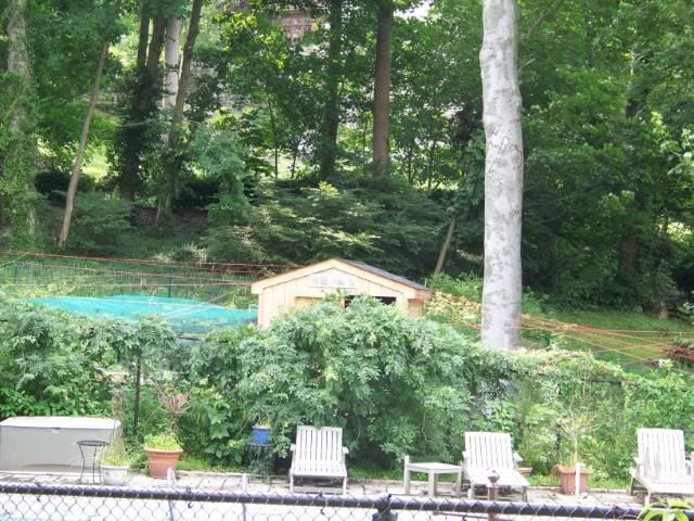100_3606.jpg