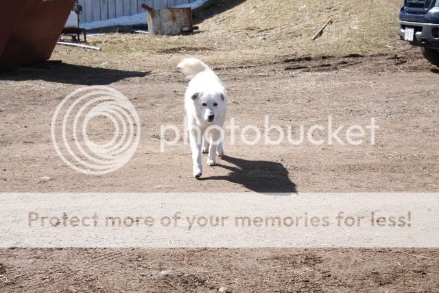_MG_6133.jpg