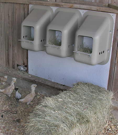 Hen%20Houses_014.jpg