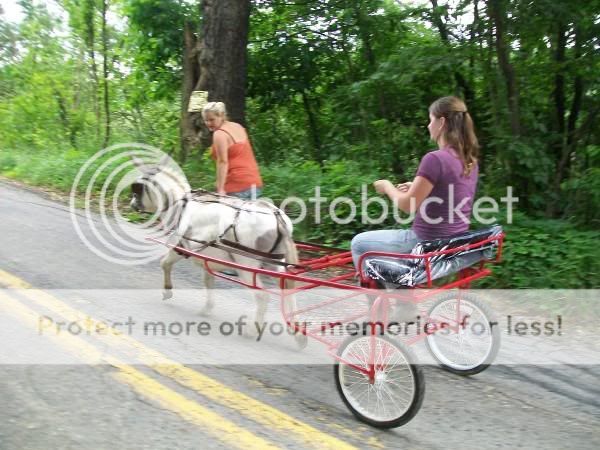 l_80b8fa172b4249f2abe4a250c8864a421.jpg