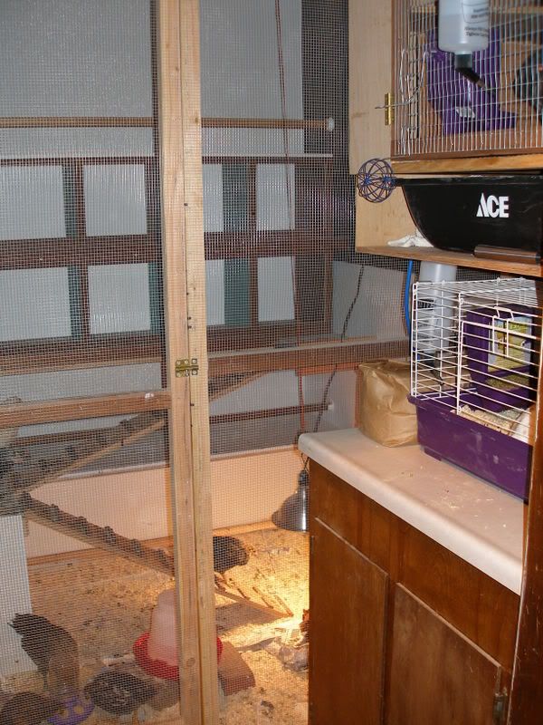 Picture034.jpg