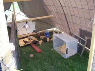 103_0722.jpg