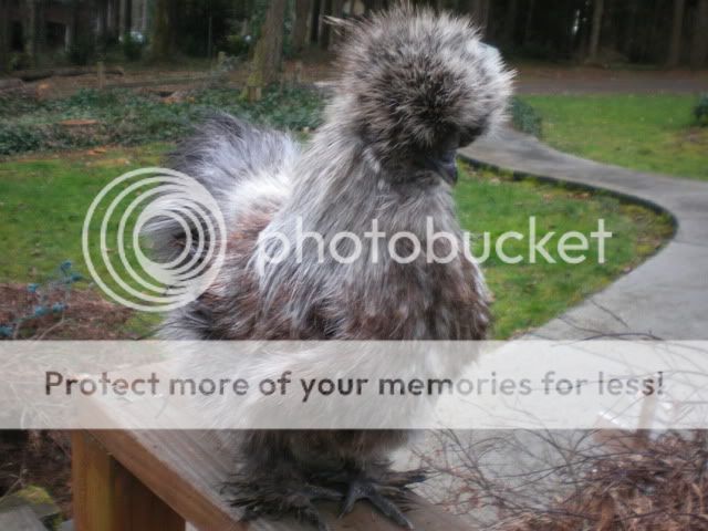 DSCN3193.jpg