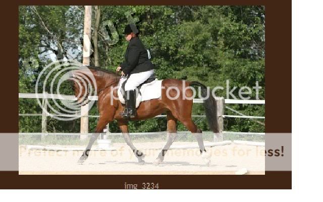 Indidressage.jpg