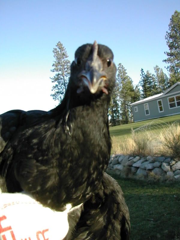 DSCN2875.jpg