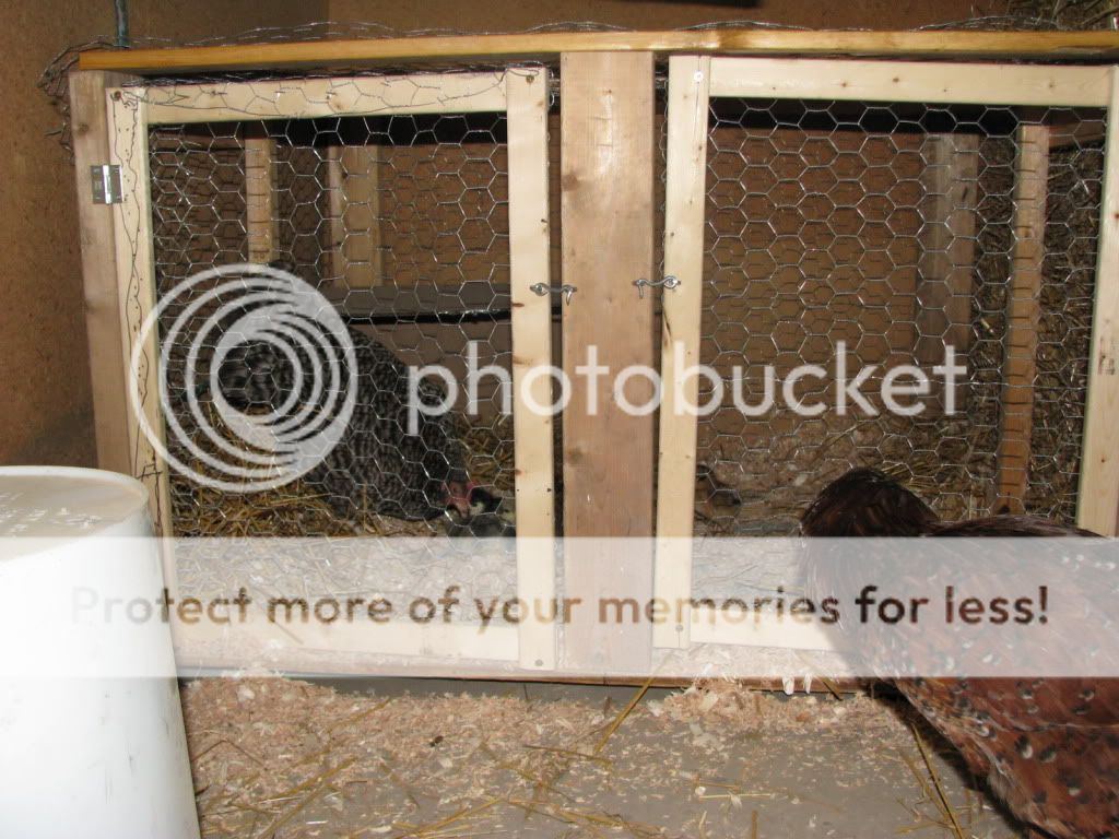 IMG_0427.jpg