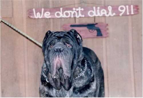 We_dont_dial_911.jpg