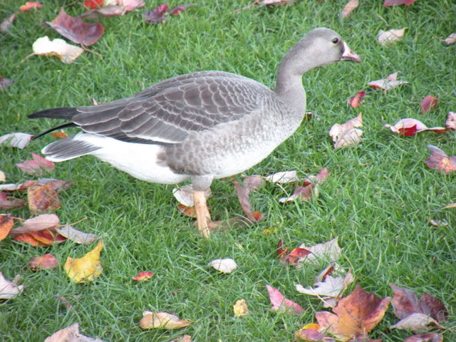 DSCN5304.JPG