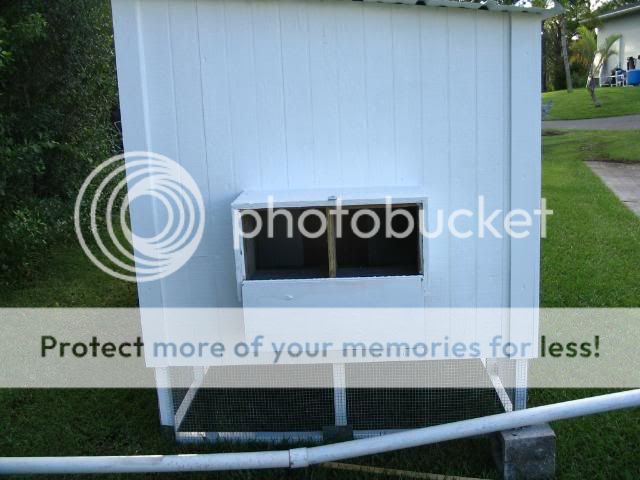 ChickenCoop039.jpg