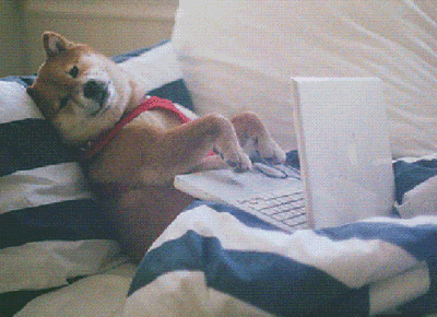 TypingDog.gif