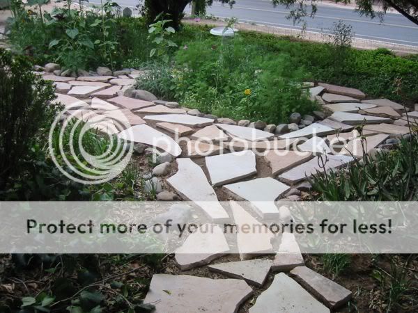 May132007fromsideyardcircleemail.jpg