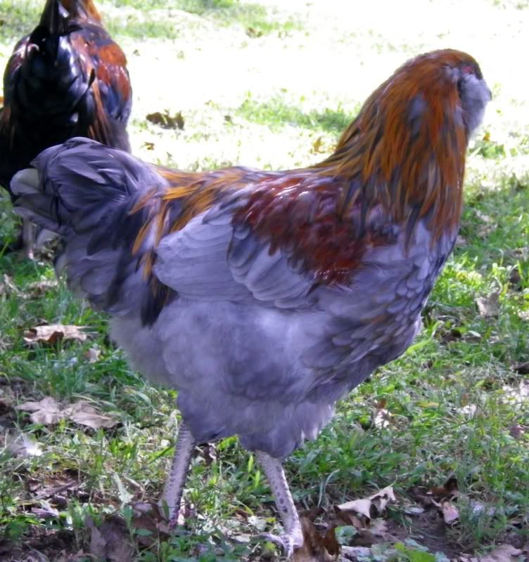 IMGP2149.jpg