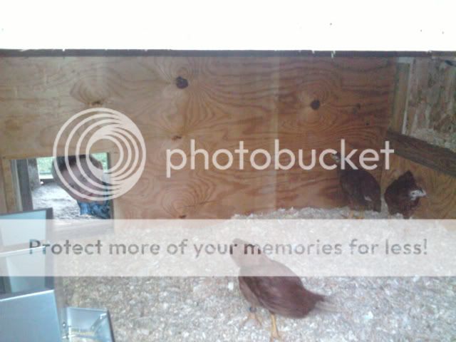 2011-08-07202641.jpg