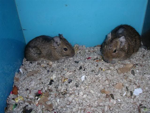 Picture002Small.jpg